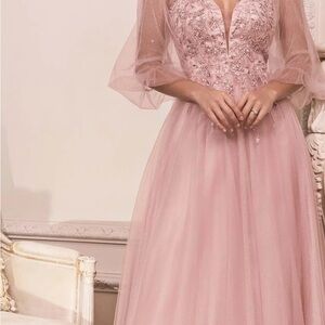 Blush Long Sleeve Embellished Gown